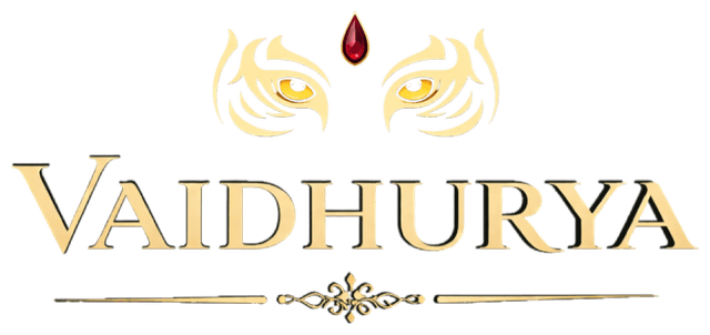 VAIDHURYA logo